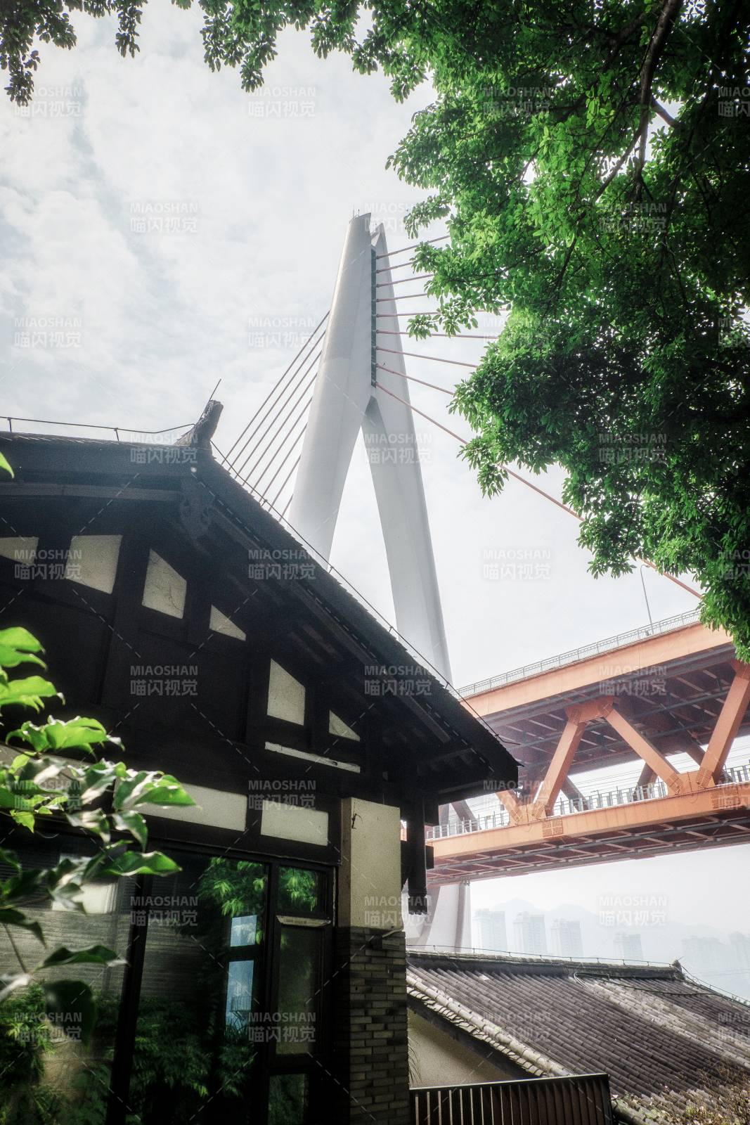 现代与传统的交汇图片