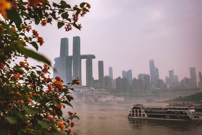 江畔花影 城市天际线图片