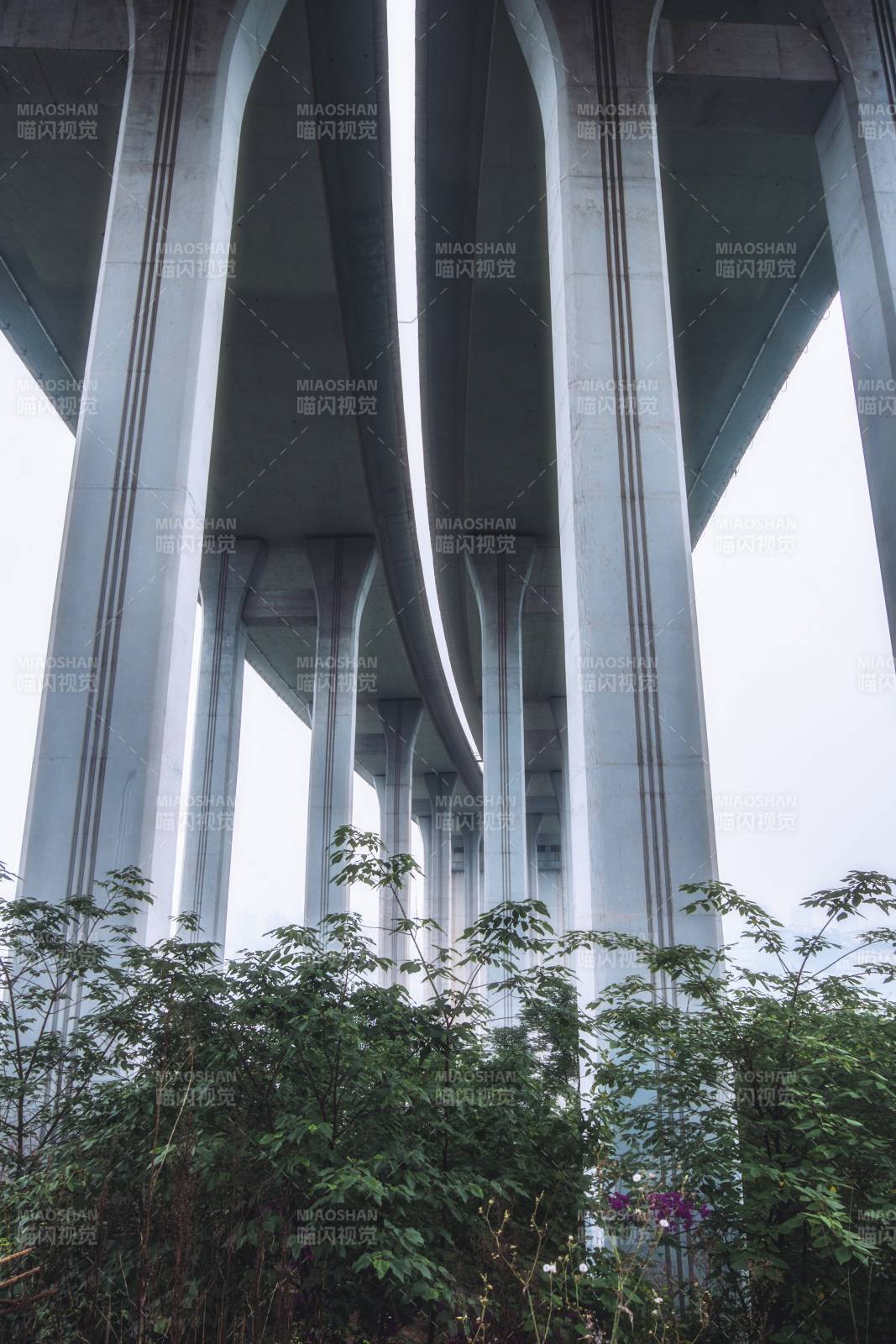 高架桥下的绿色生机图片