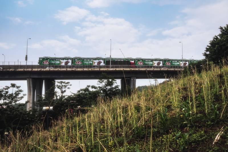 高架桥上的列车图片