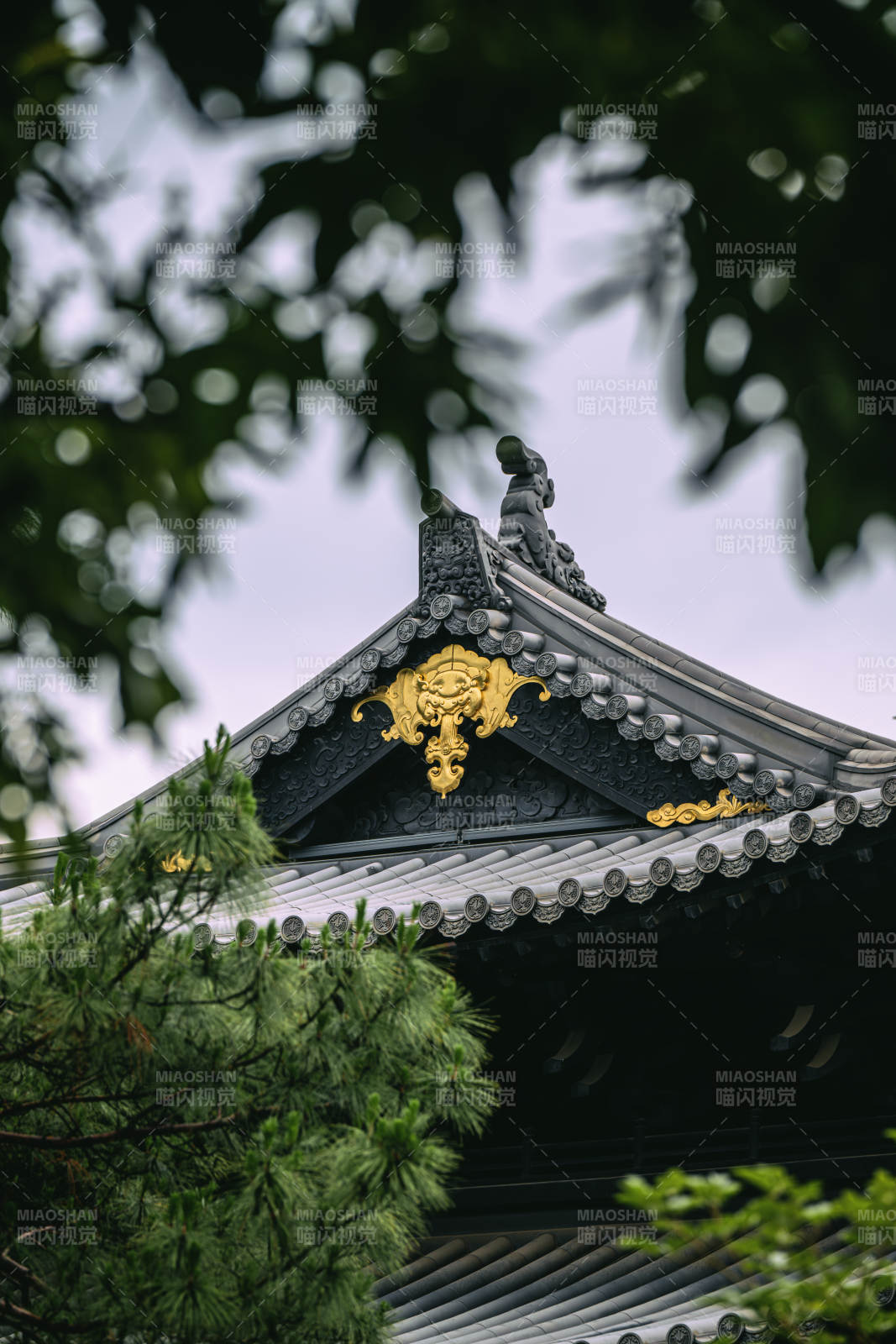 金色装饰的寺庙屋顶图片