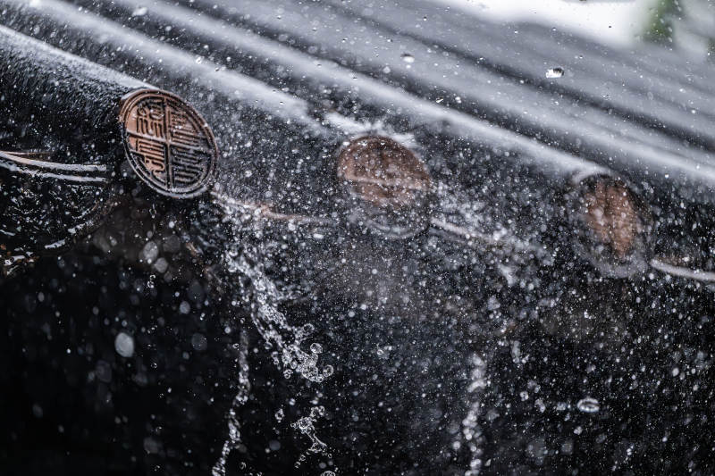 雨中车标特写图片
