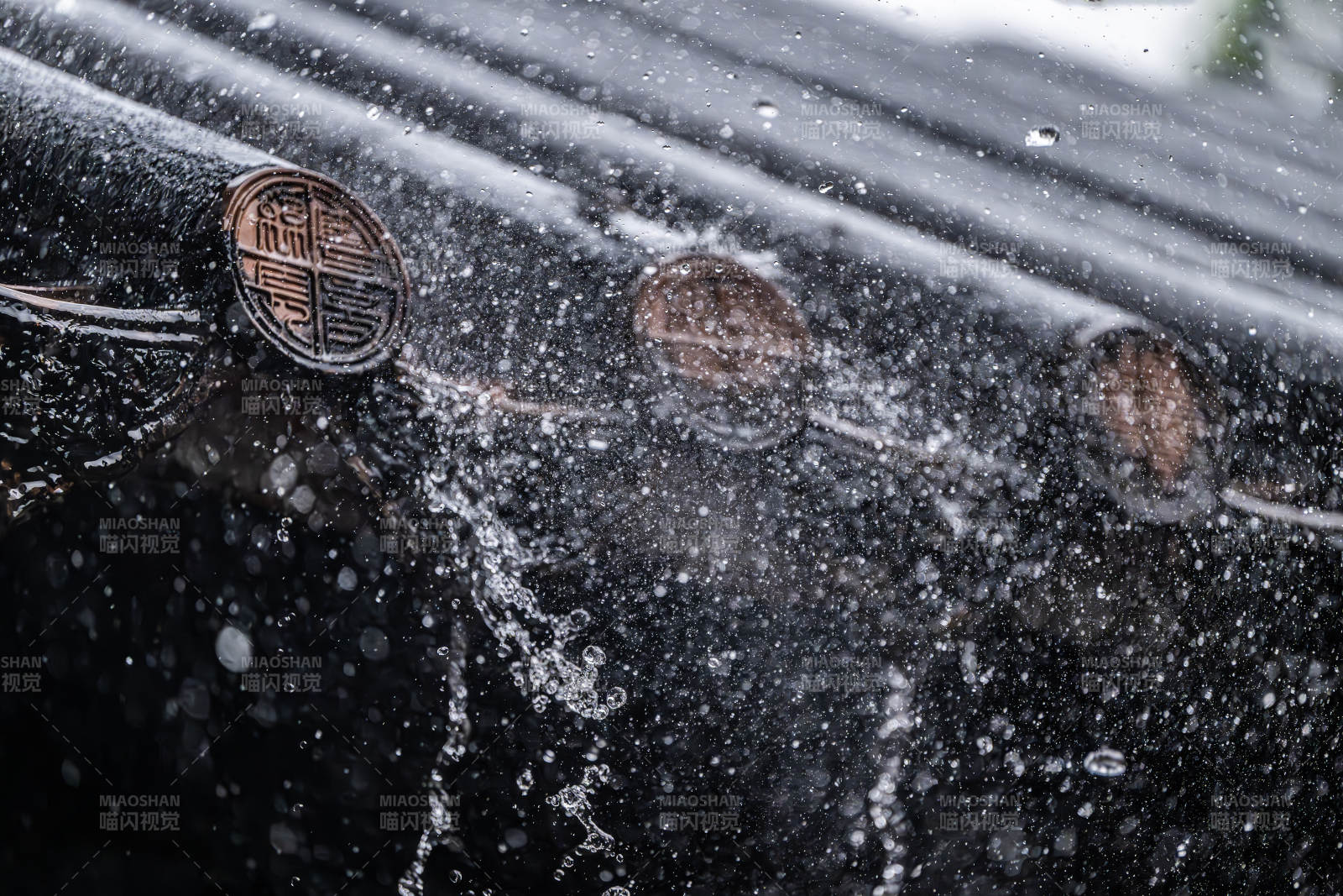 雨中车标特写图片