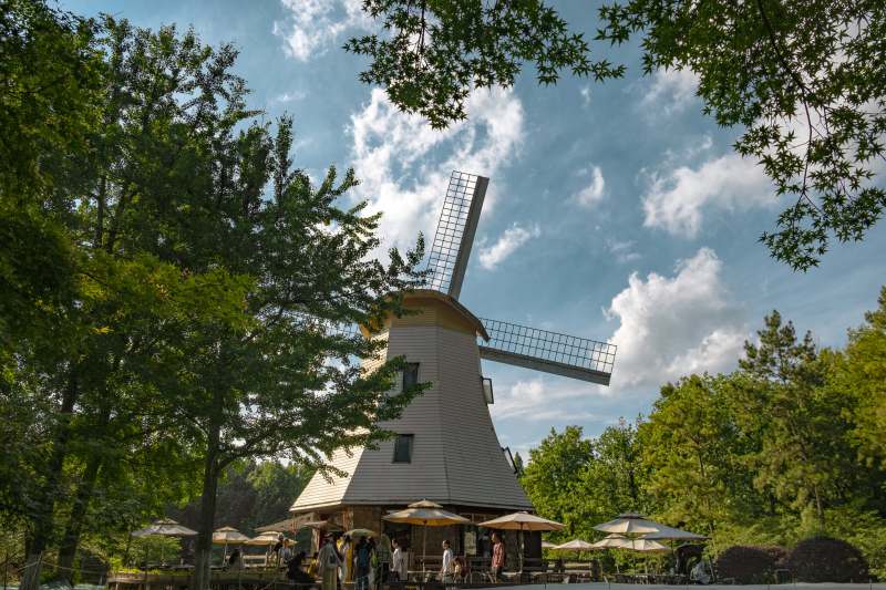 公园中的白色风车图片