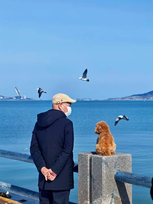 海边的陪伴图片