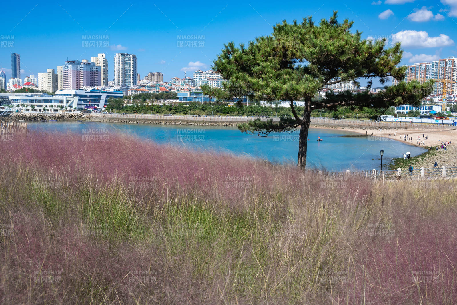 城市湖畔的宁静景色图片