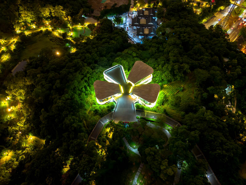 福州金鸡山夜空中绽放的茉莉花建筑图片