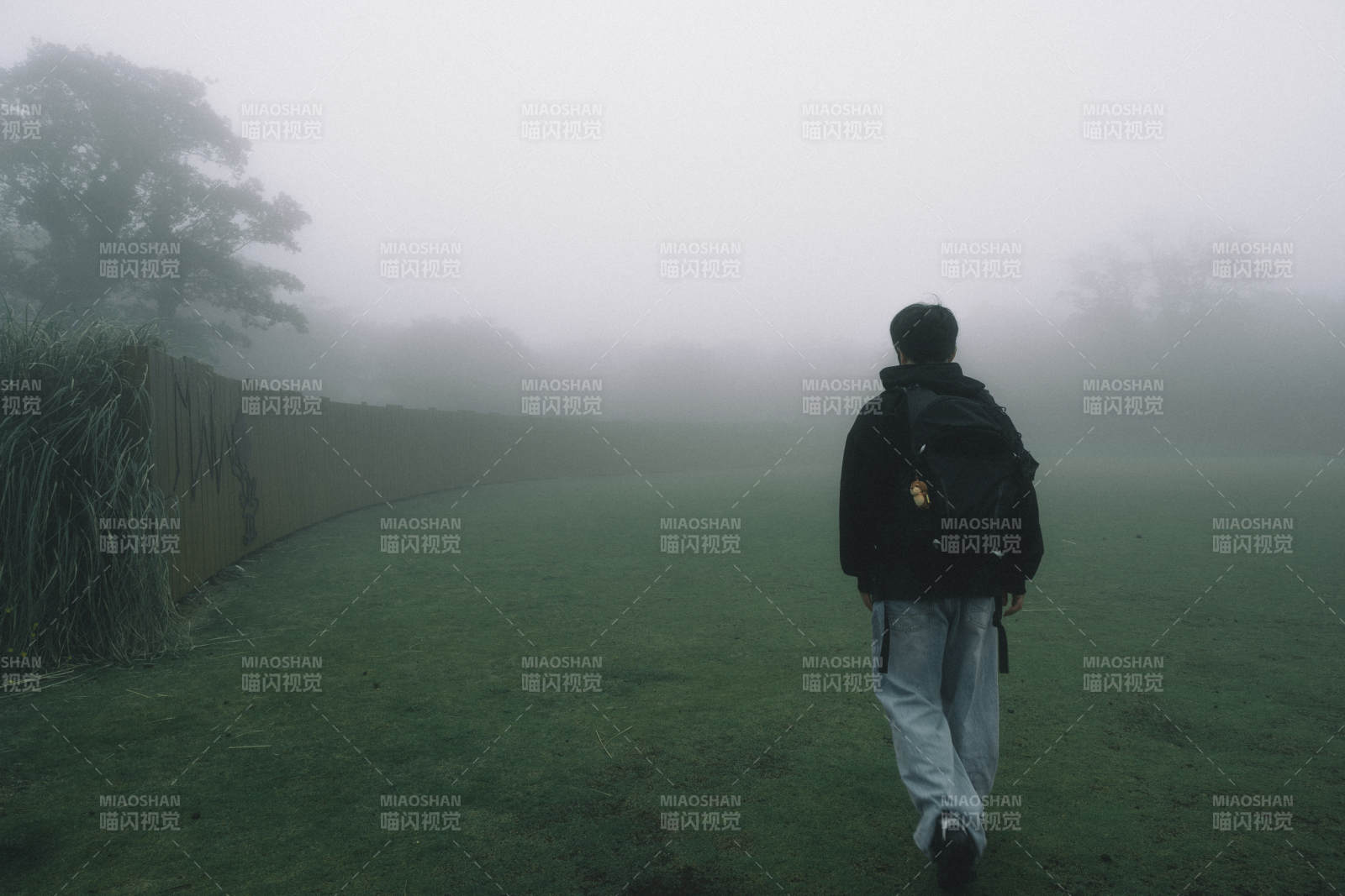 雾中独行者图片