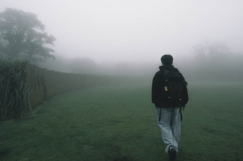 雾中独行者图片