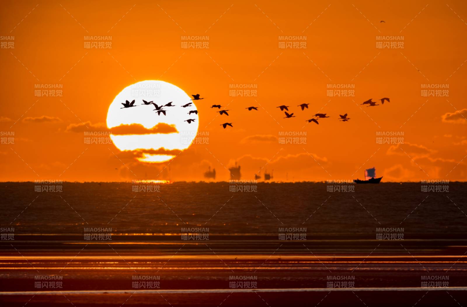 夕阳飞鸟海面船图片