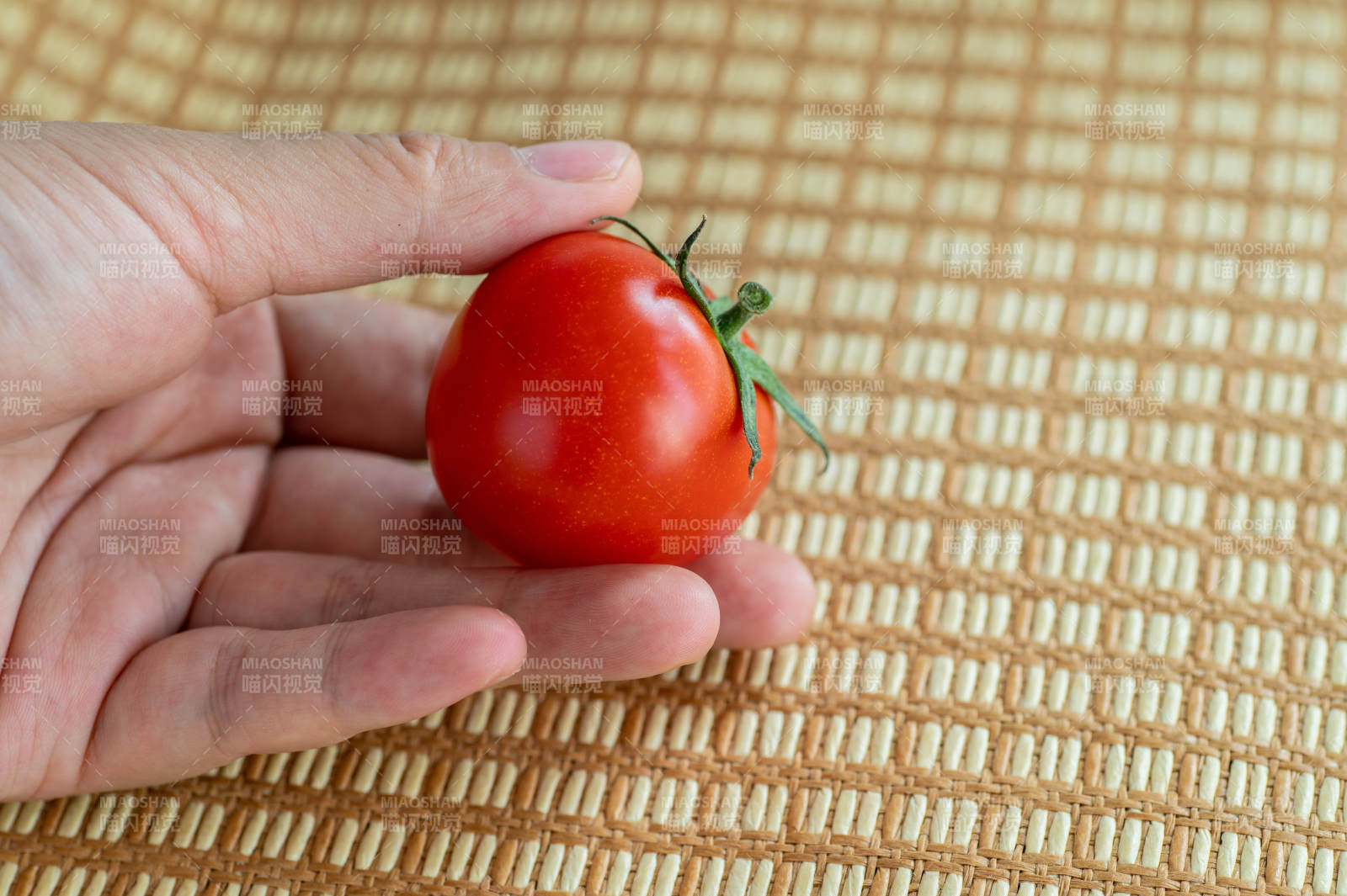 手握小番茄图片