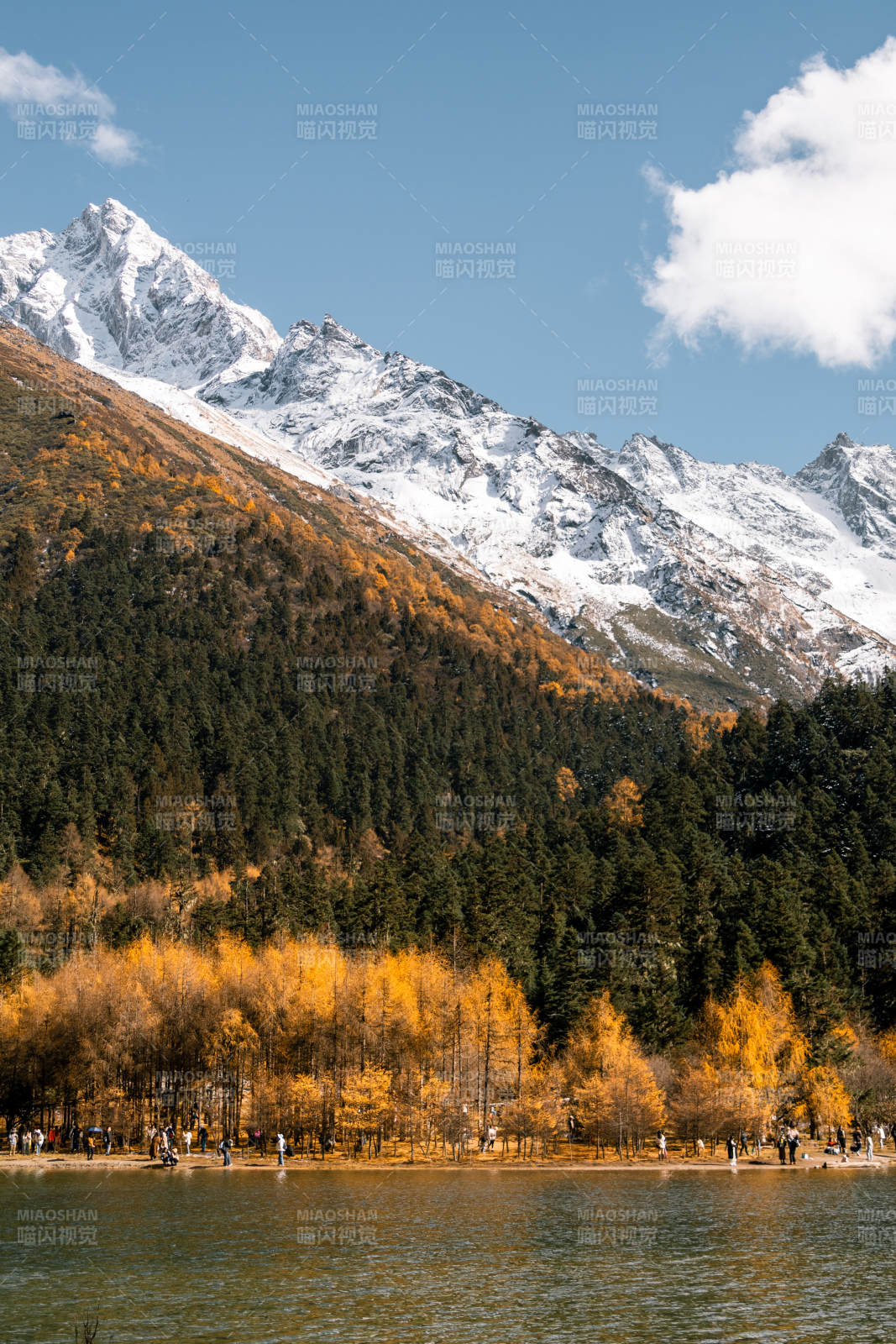 秋日雪山湖畔图片