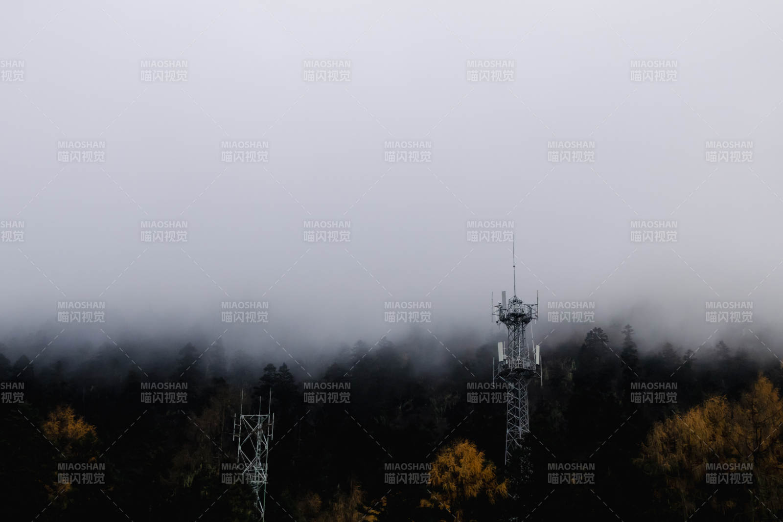 雾中信号塔图片