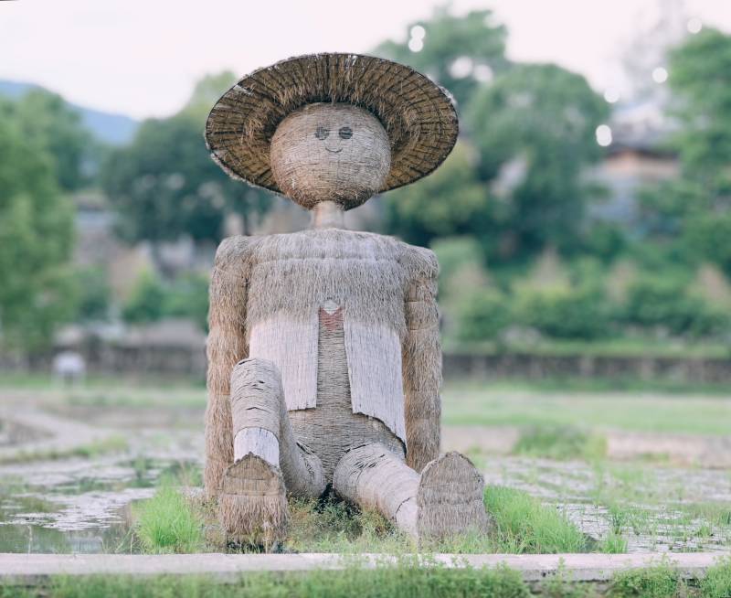 稻草人守望者图片