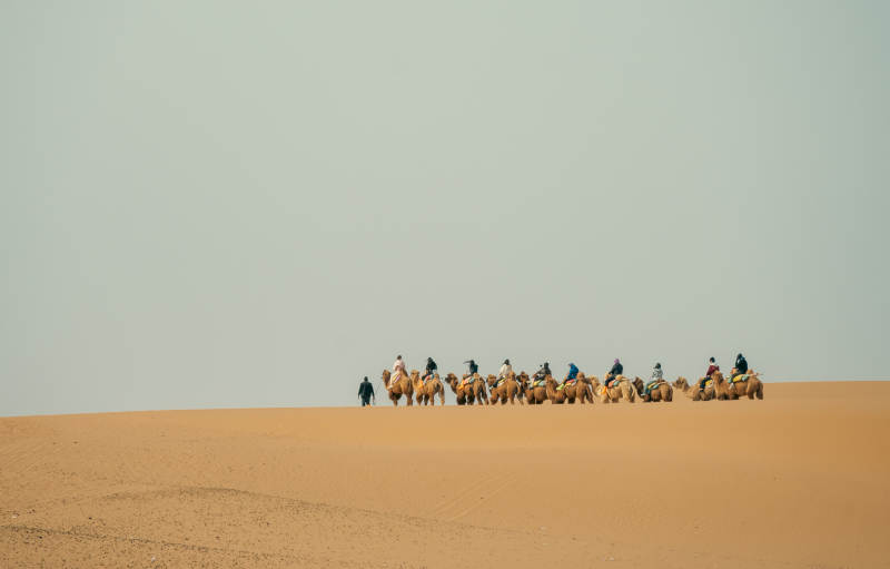 沙漠驼队图片