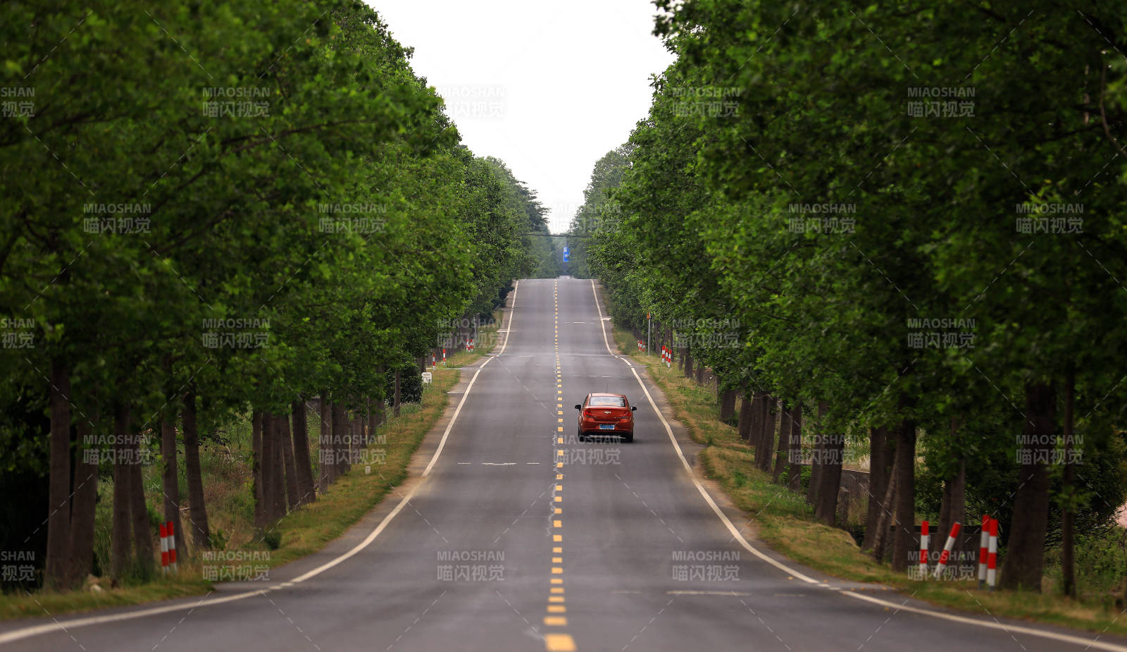 林荫大道上的孤独车辆图片