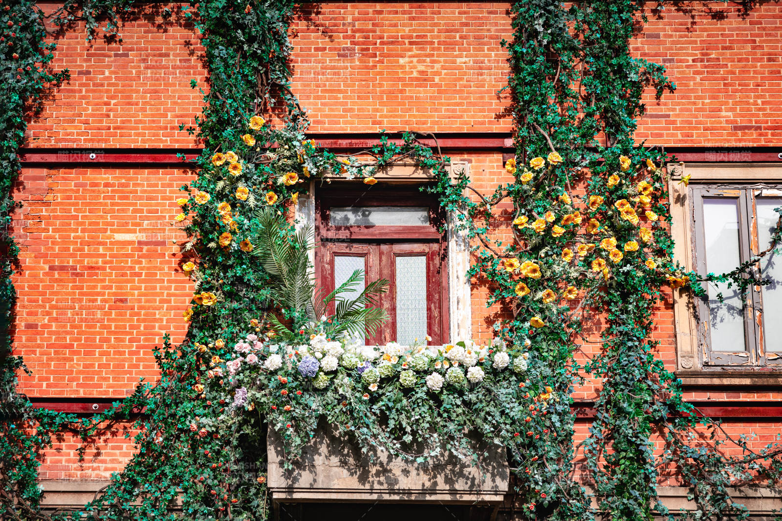 花藤环绕的红砖窗图片