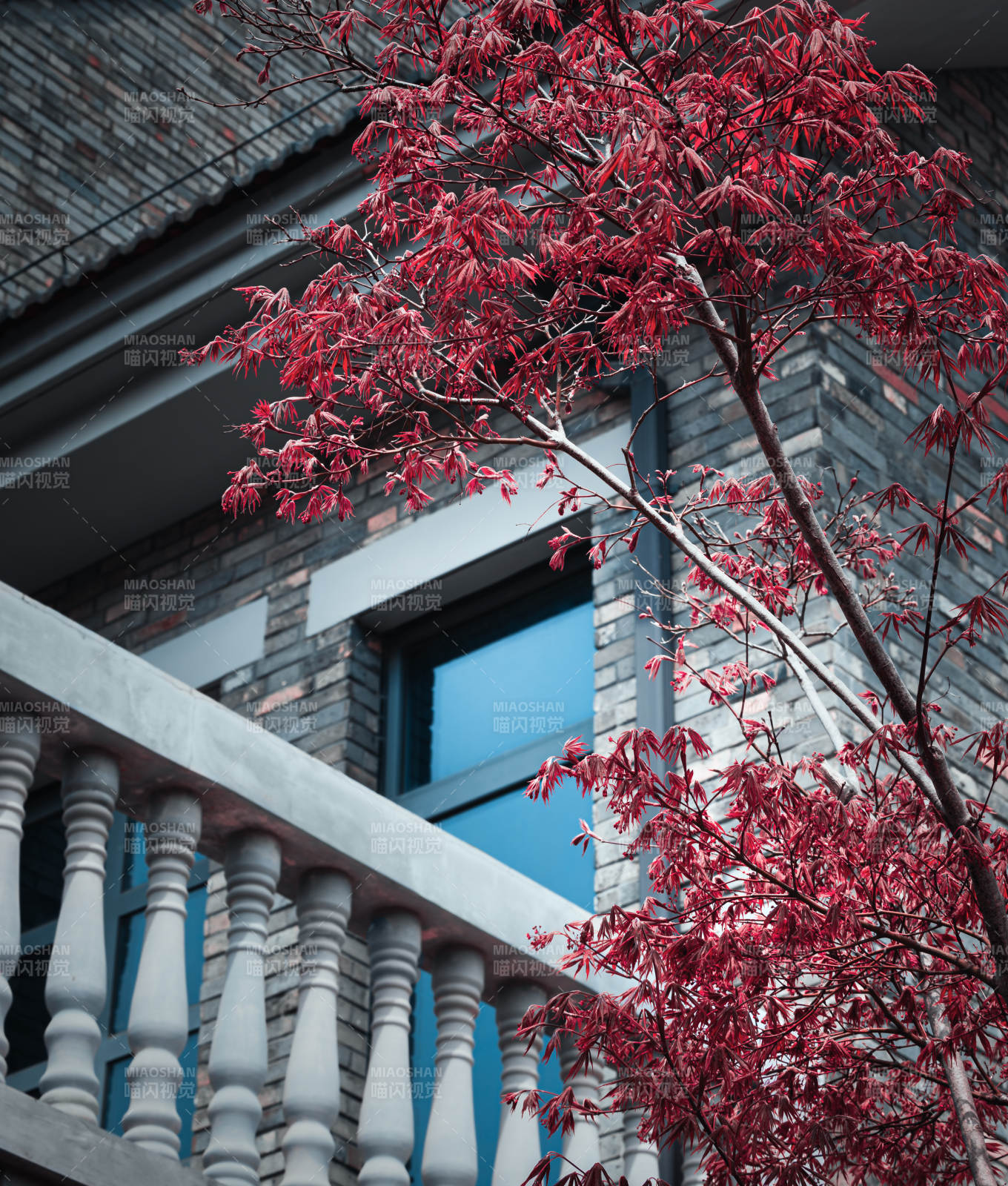 红叶映衬古建筑图片