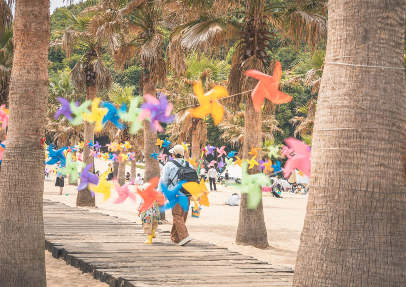 风车装饰的海滩步道图片