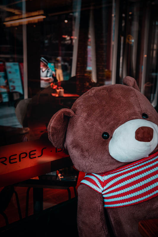 咖啡馆里的泰迪熊图片