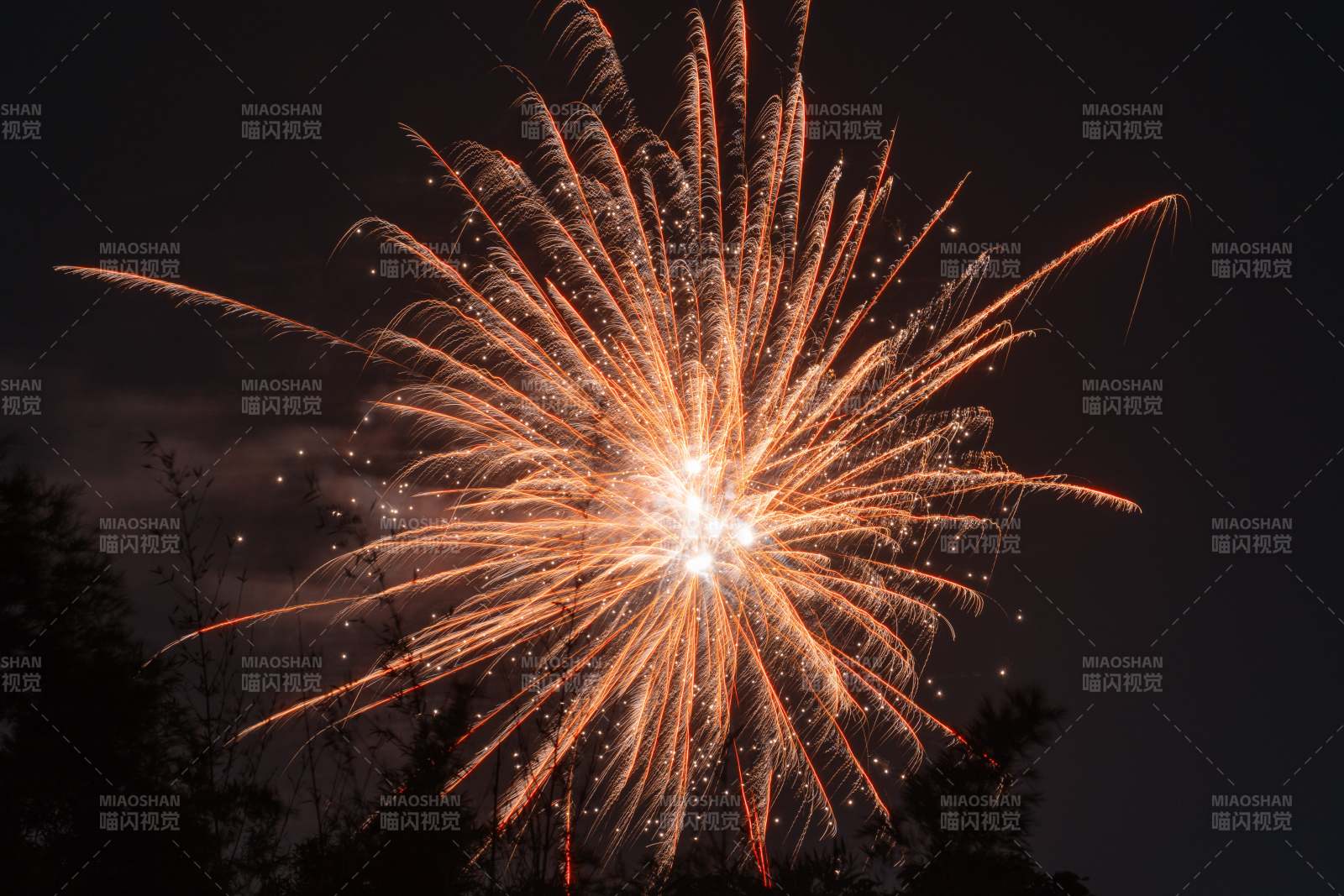 夜空中的烟花绽放图片