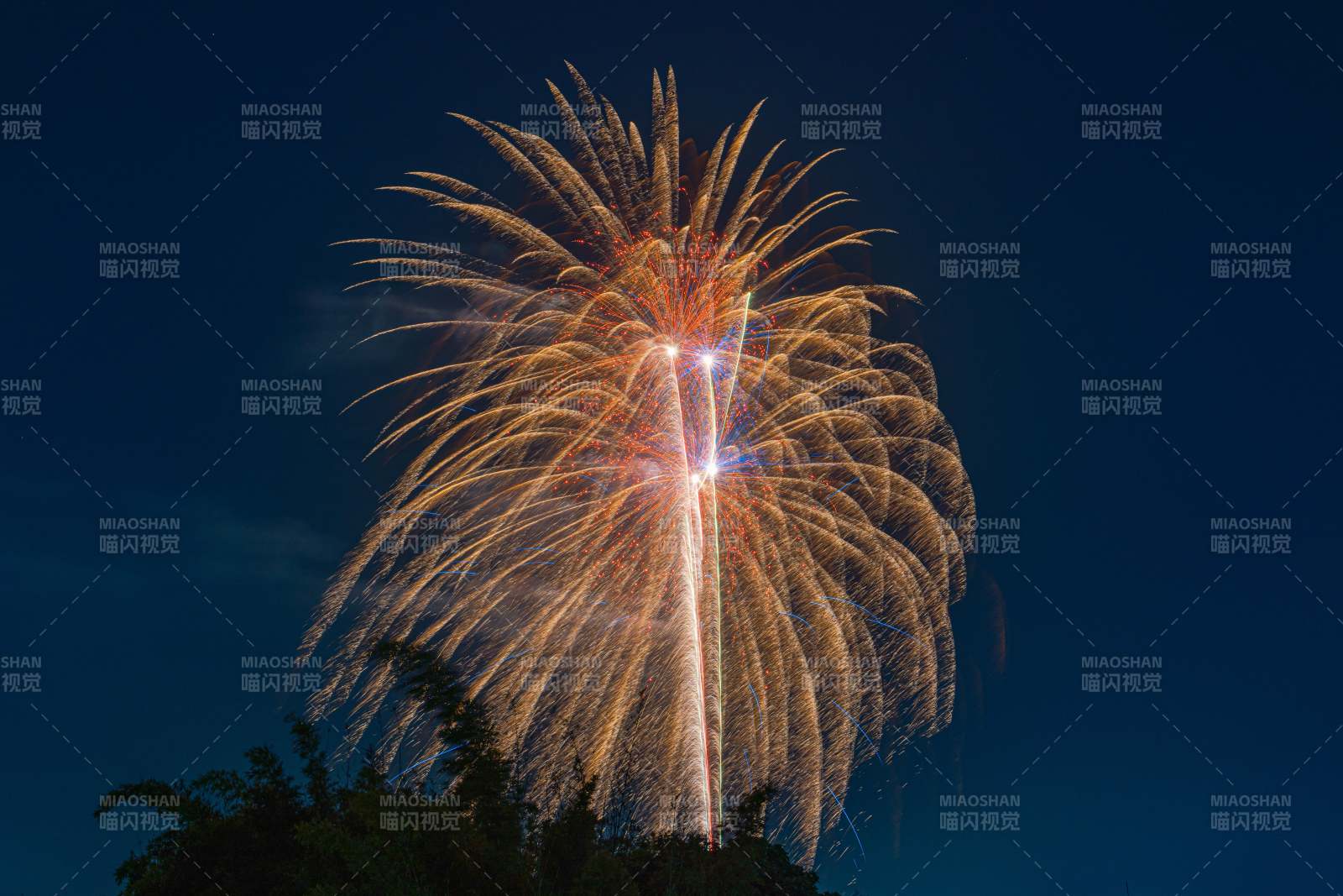 夜空中的烟花绽放图片