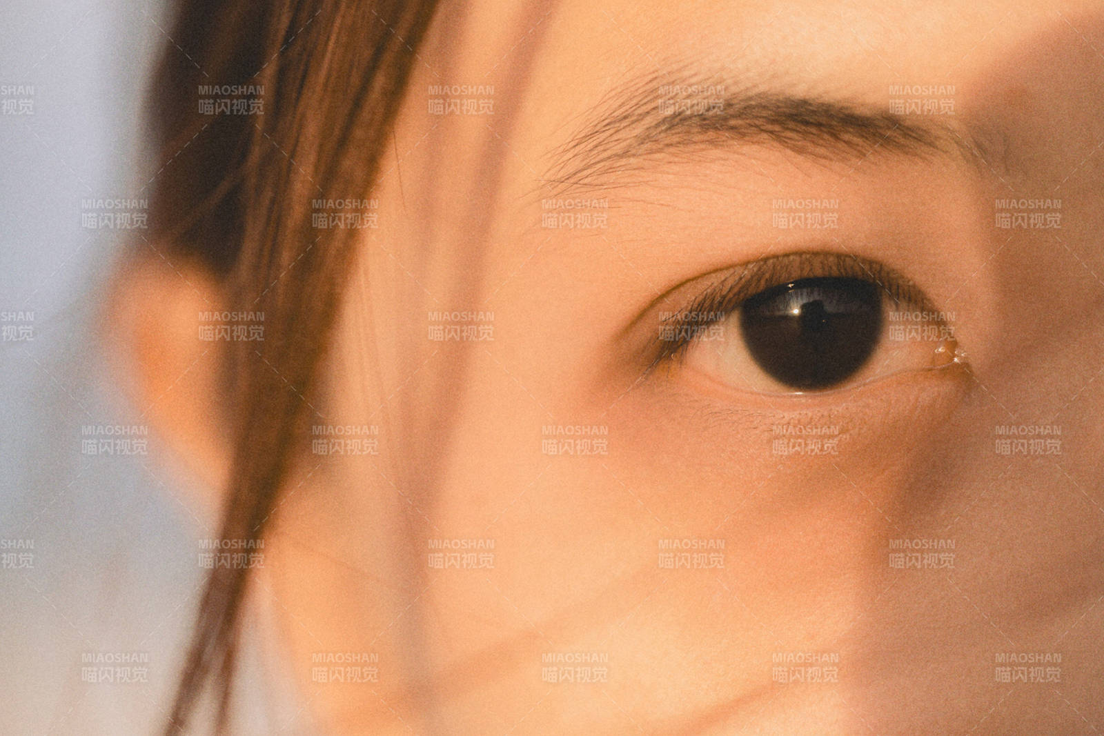 眼神中的温柔与坚定图片