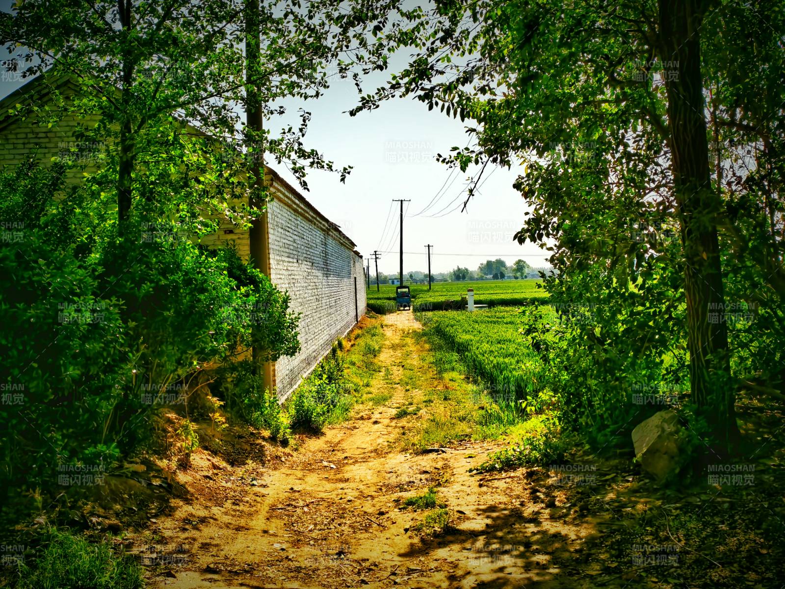 乡村小路与白墙农舍图片