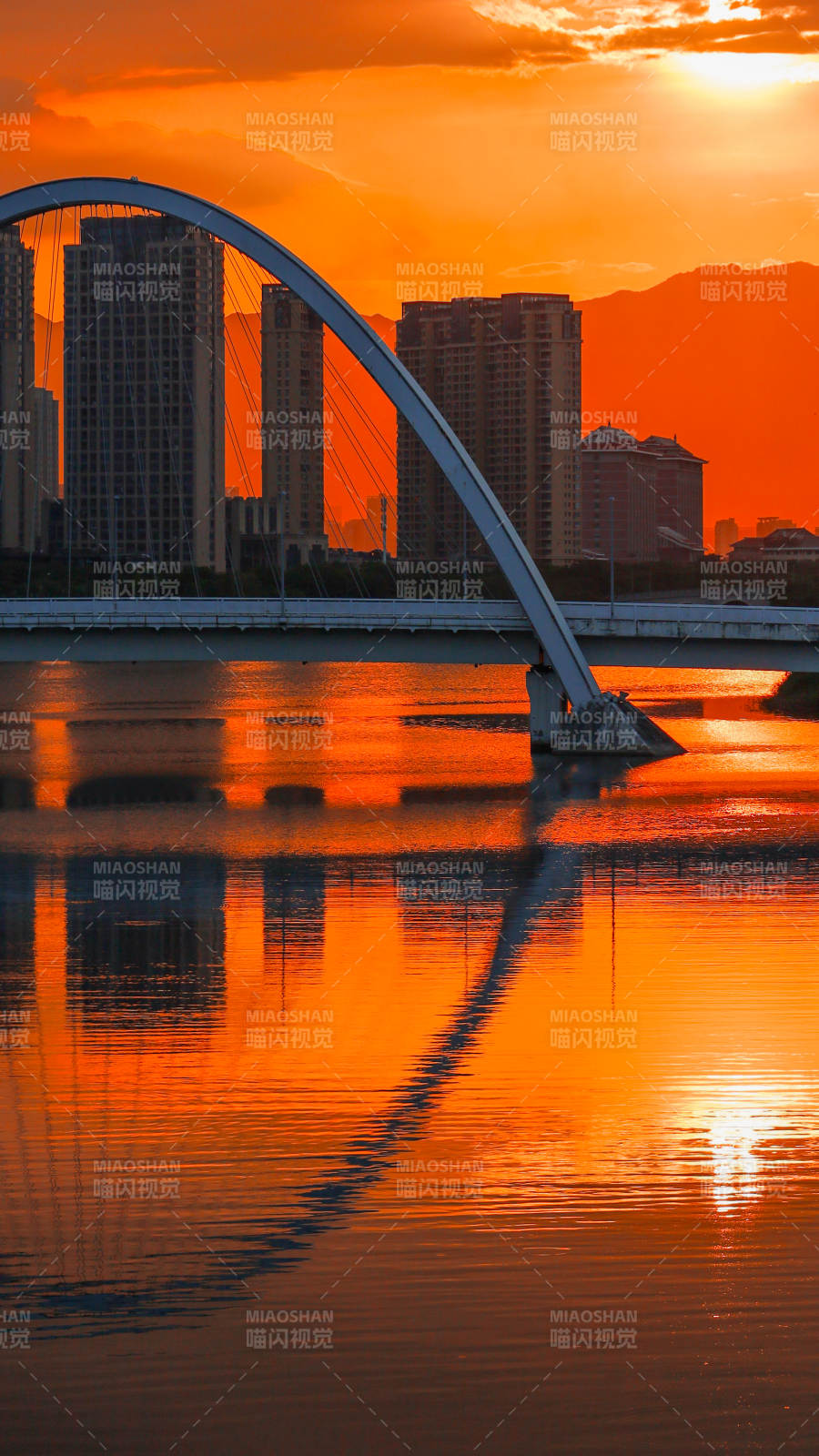 厦门园林博览苑图片