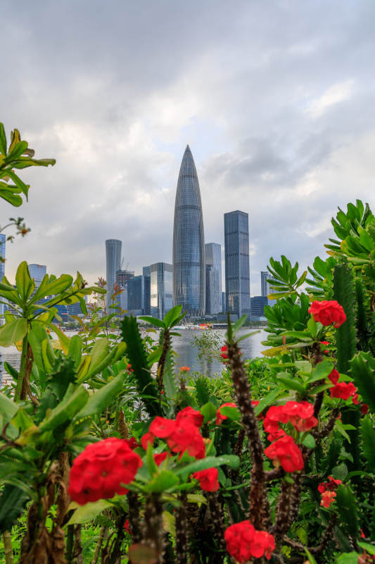 城市与自然的和谐共存图片