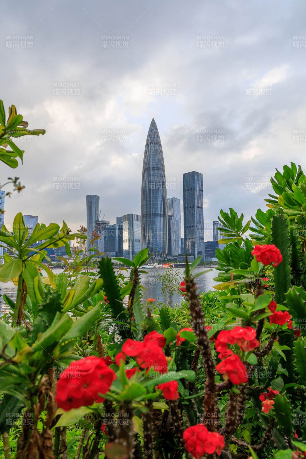 城市与自然的和谐共存图片