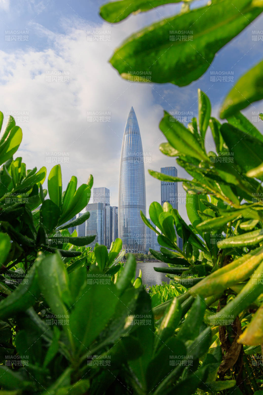 城市绿意中的摩天大楼图片