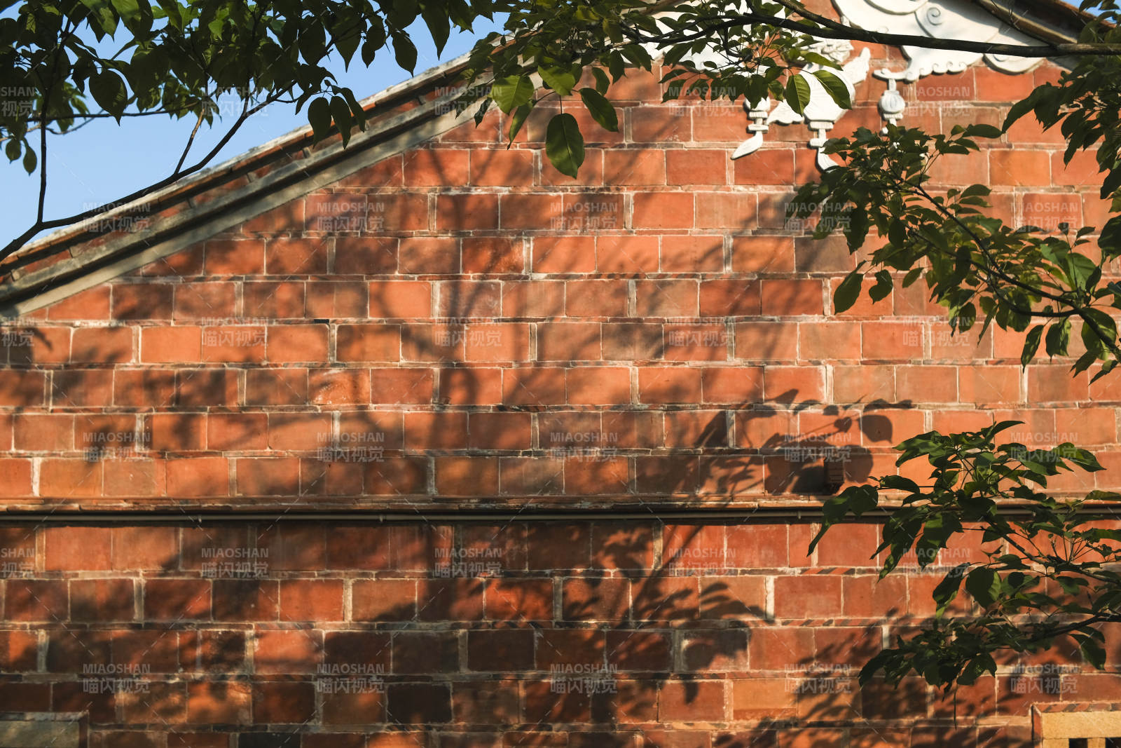 砖墙上的树影图片