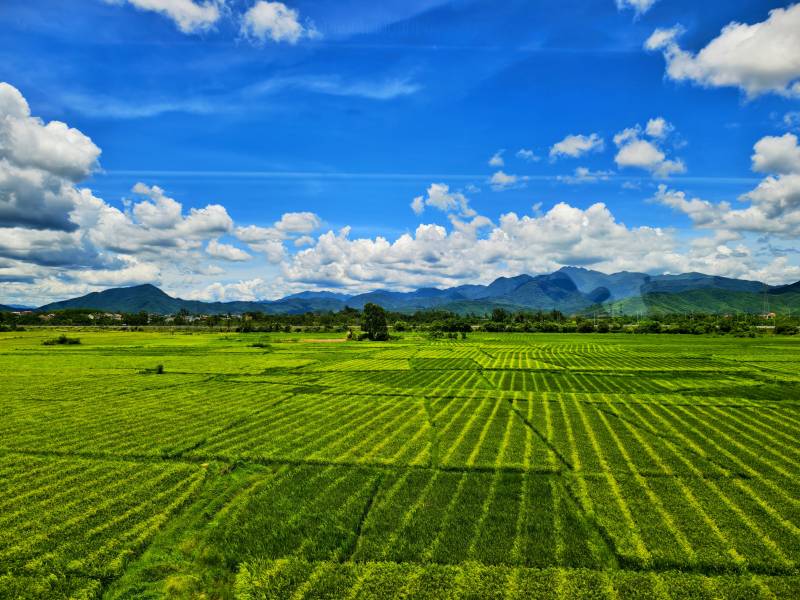 绿色田野与蓝天白云图片