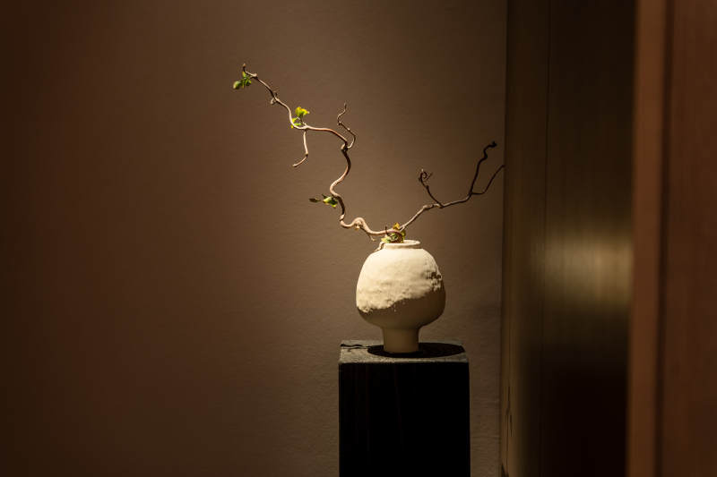 简约花瓶静物图片