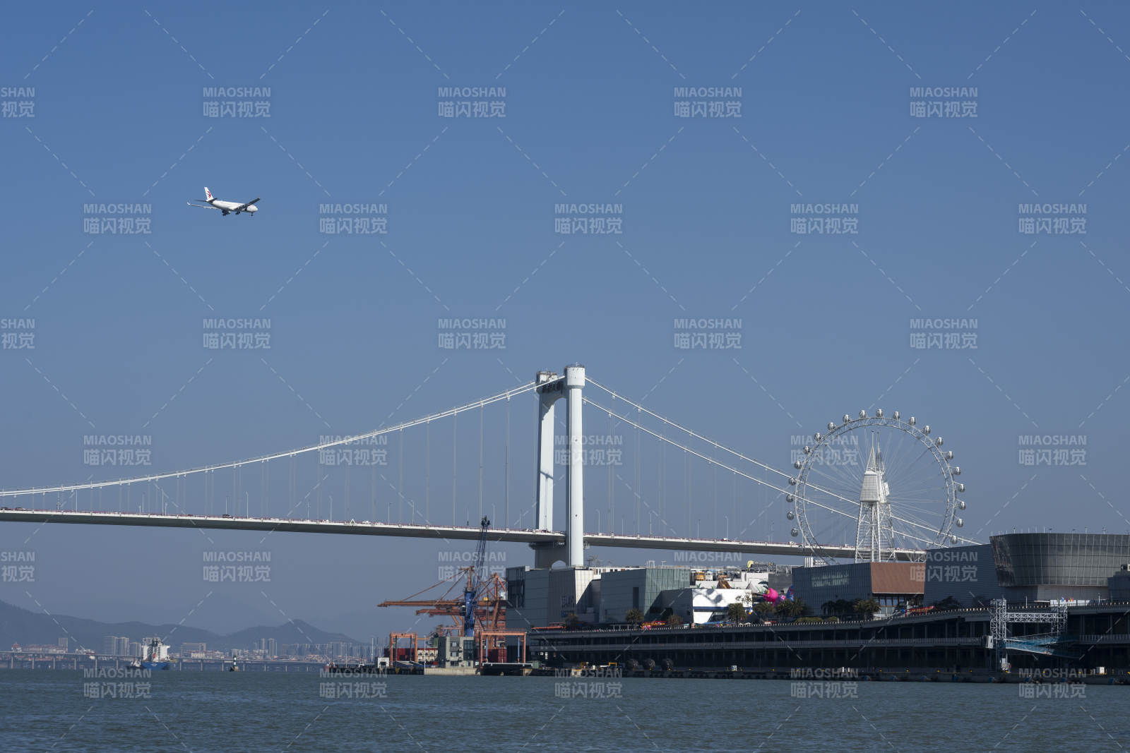飞机飞越海沧大桥与摩天轮图片