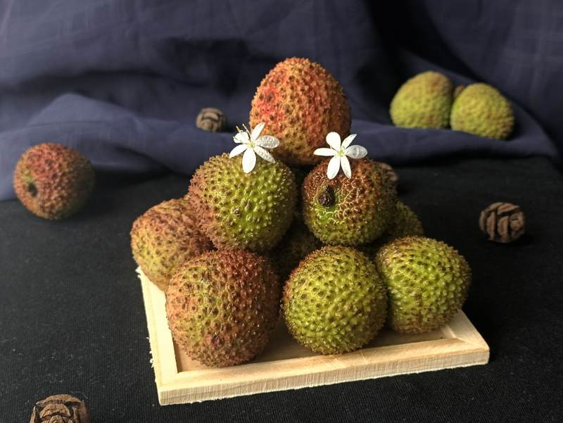 带刺的热带水果展示图片