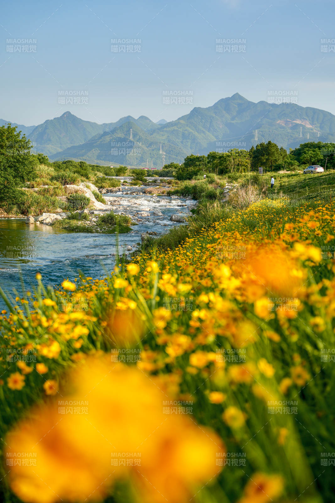 山溪花海图片