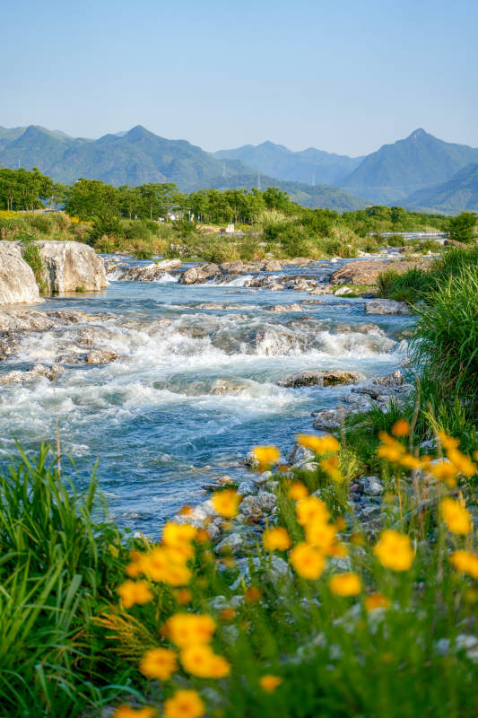 山溪花海图片