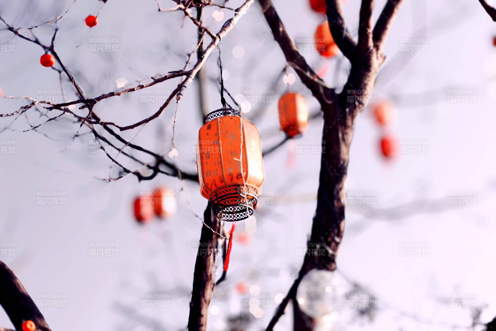 冬日红灯笼图片