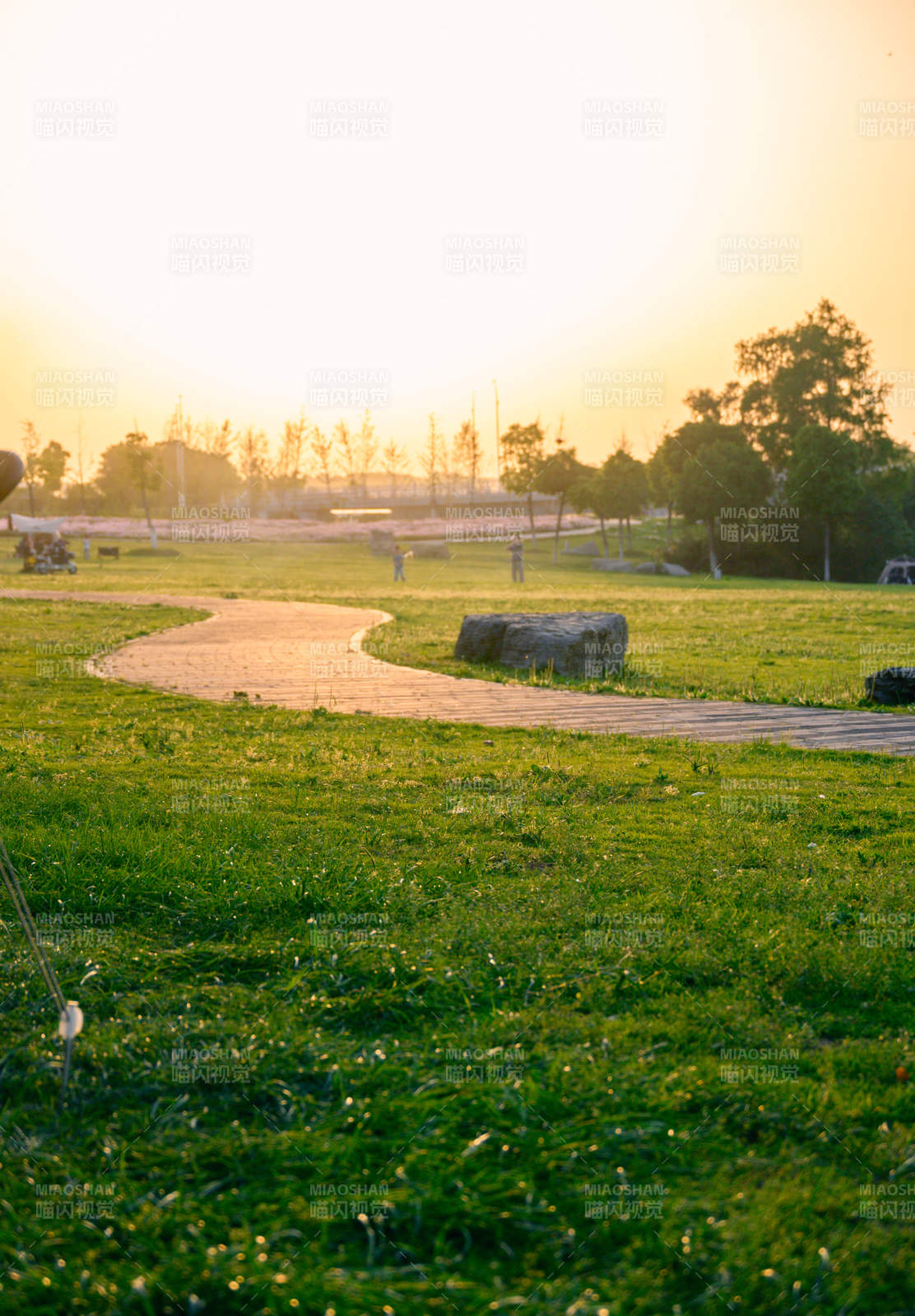 夕阳下的蜿蜒小径图片