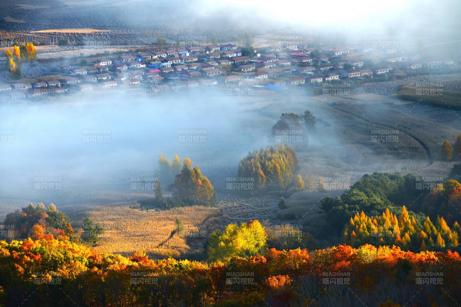 秋日晨雾中的村庄图片