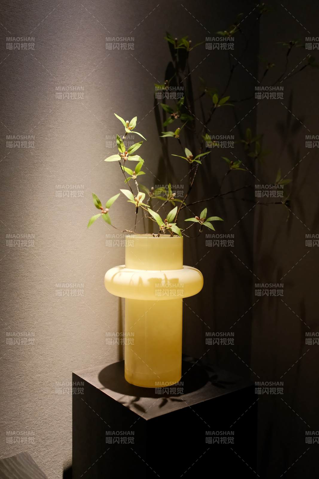 光影中的花瓶图片