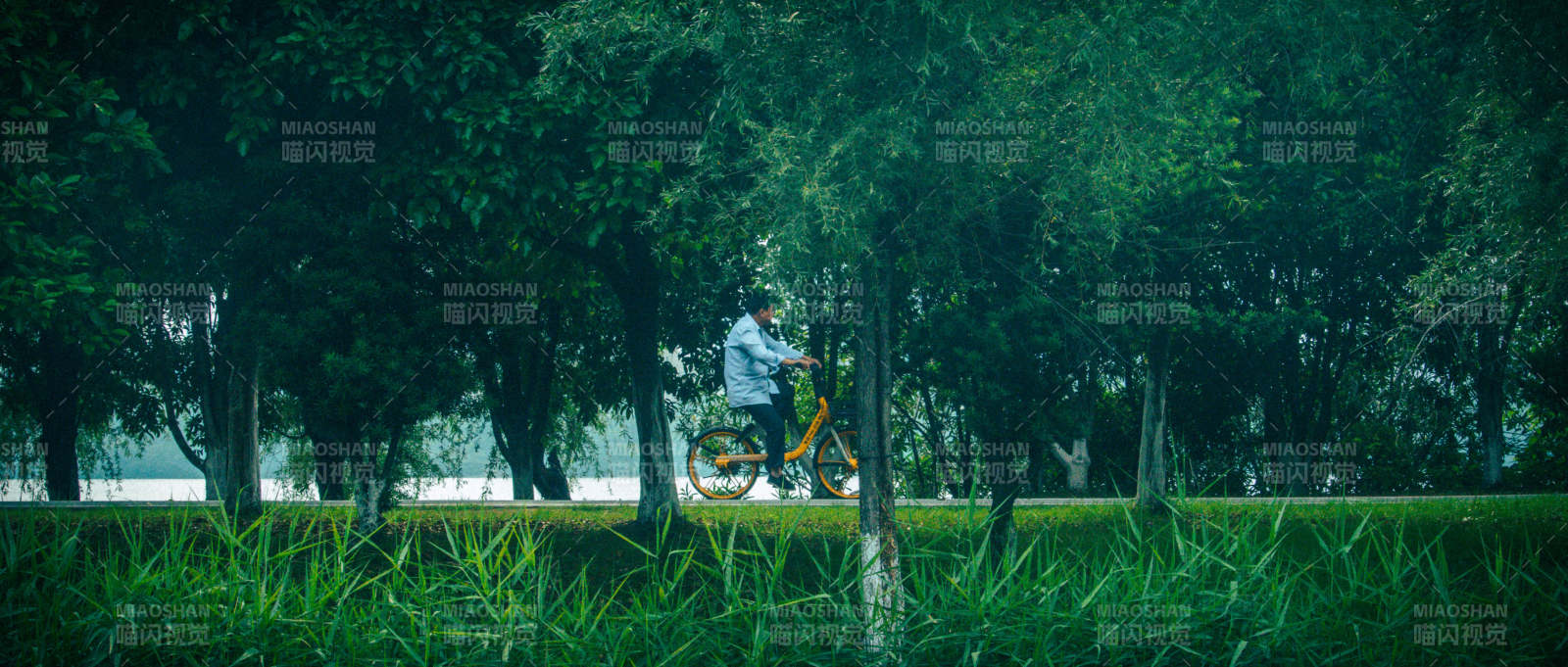 森林中的骑行者图片