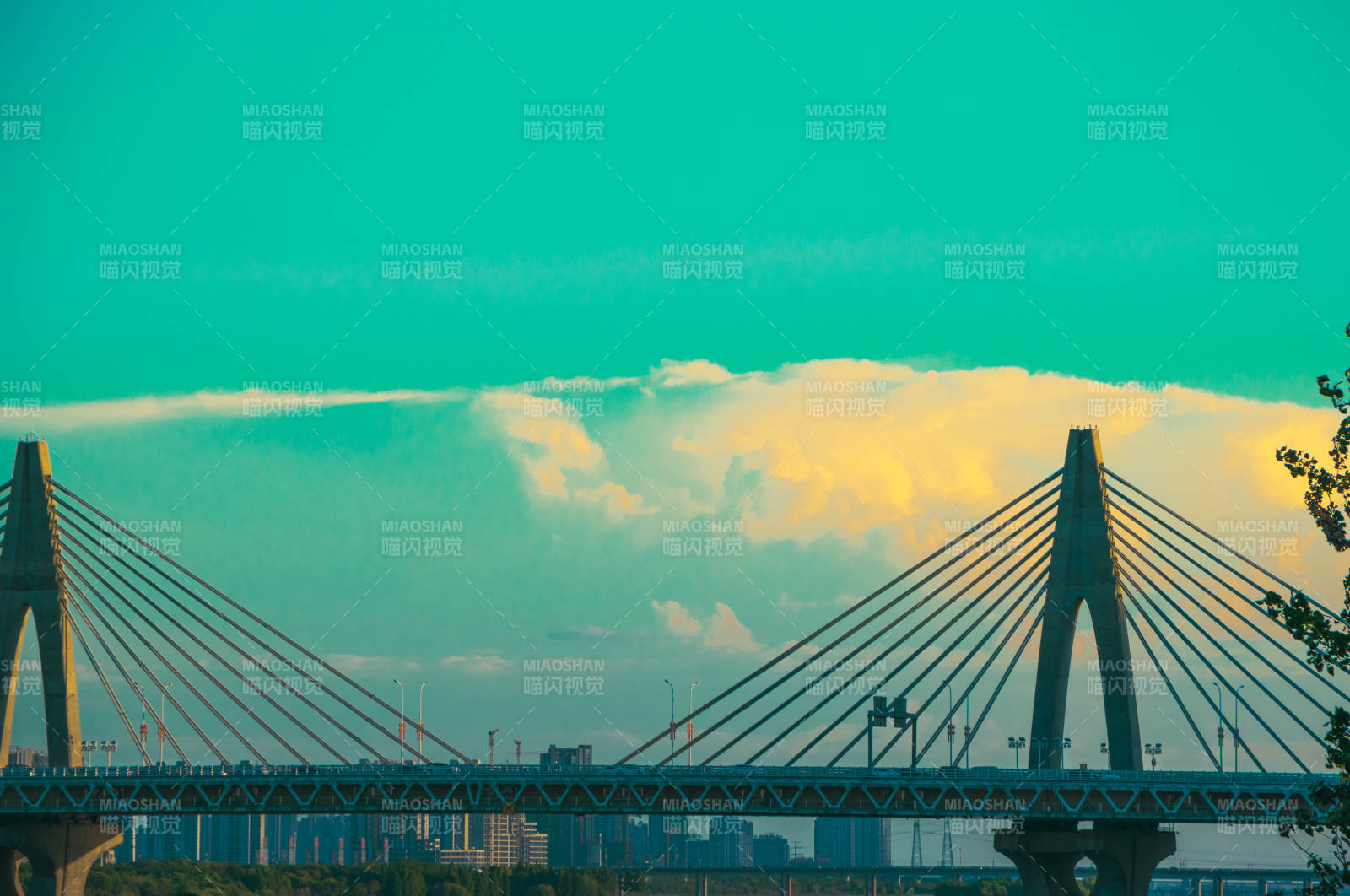 夕阳下的大桥图片