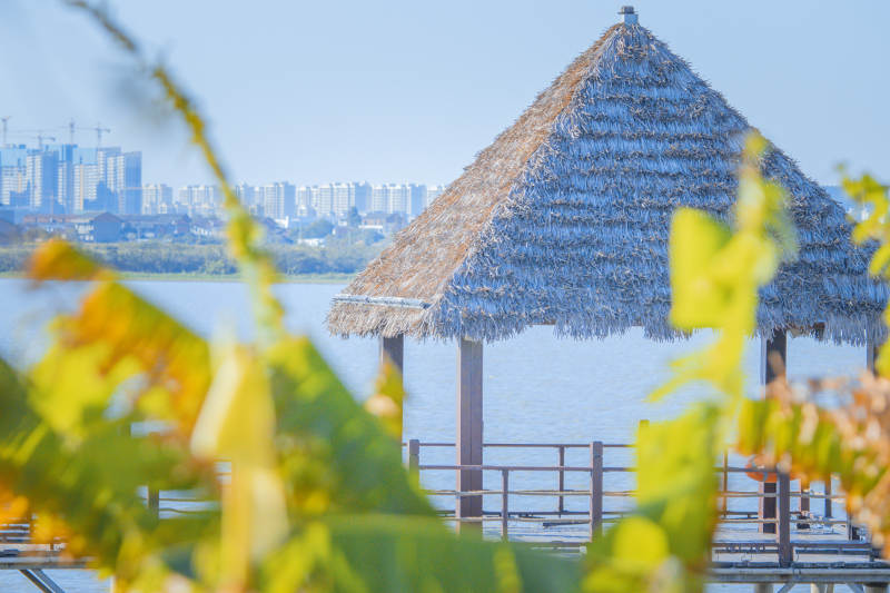 湖畔茅亭秋景图图片