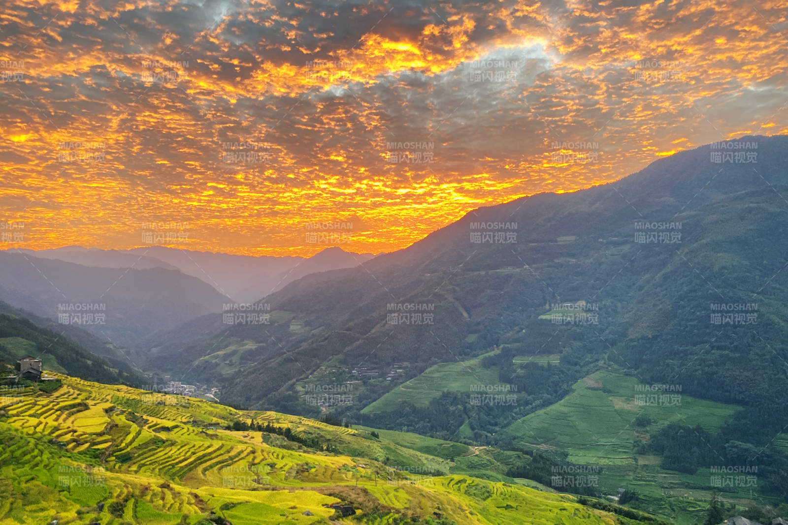 龙脊梯田梯田日出图图片