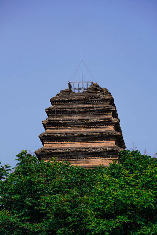 古塔隐于绿树间图片