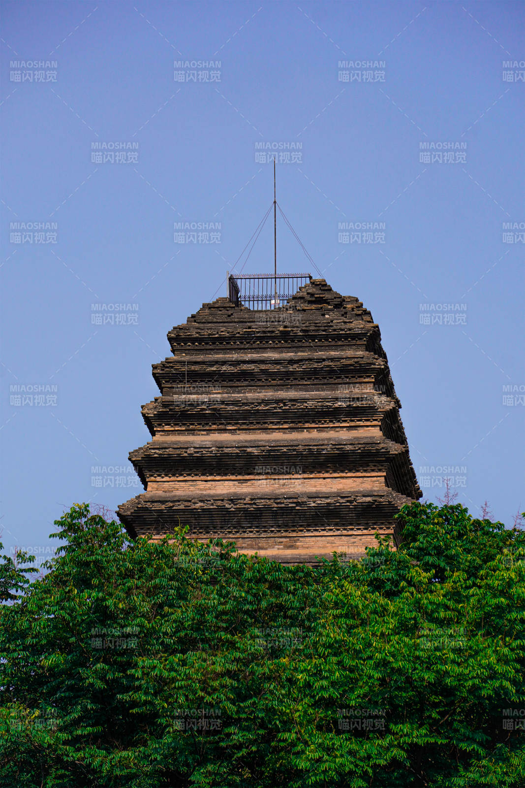古塔隐于绿树间图片