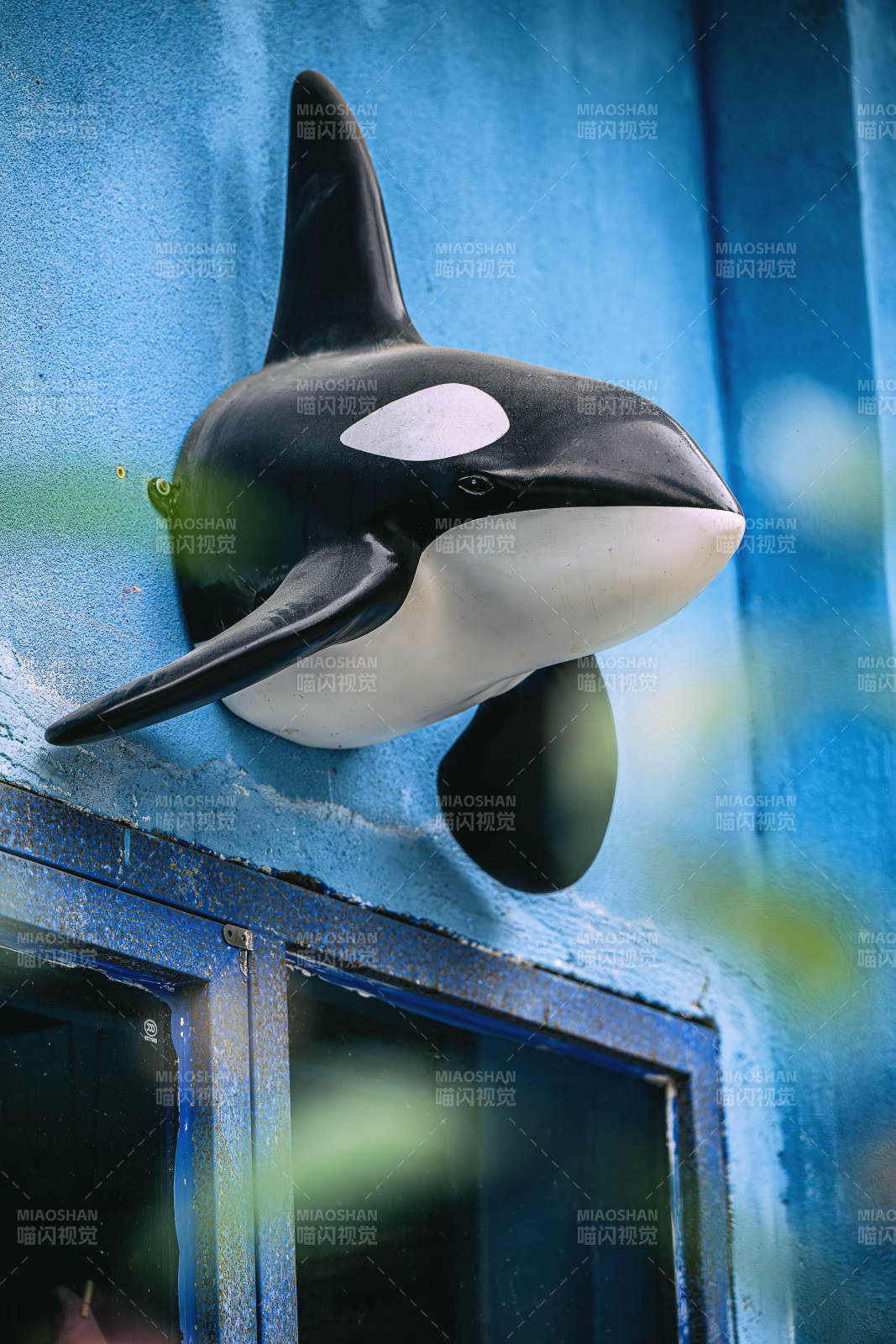 虎鲸雕塑装饰建筑图片